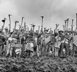 En el Día Internacional de la Lucha Campesina se vuelve a alzar una bandera urgente: Soberanía Alimentaria para el buen vivir