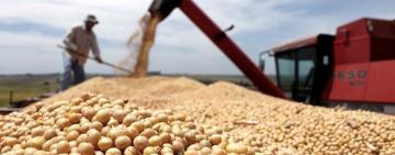 Estiman que habrá exportaciones récord de harina y aceite de soja por US$ 20.000 millones
