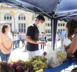 El municipio refuerza las compras de cercanía a través de su portal feriasverdes.com
