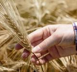 "La región está llamada a ser garante de la seguridad alimentaria del planeta"