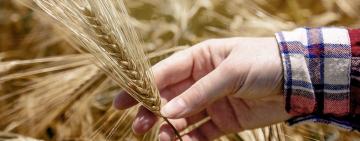 "La región está llamada a ser garante de la seguridad alimentaria del planeta"
