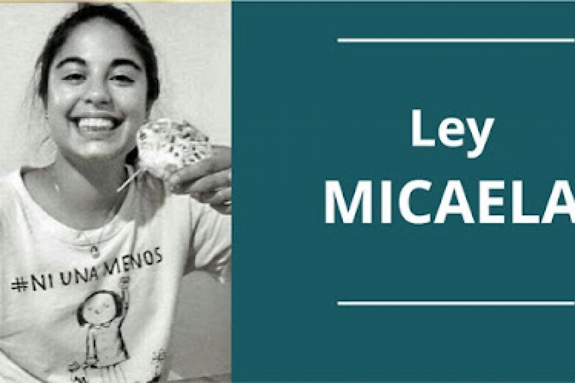 Ley Micaela: la provincia convoca a municipios, comunas y organizaciones a participar de la capacitación