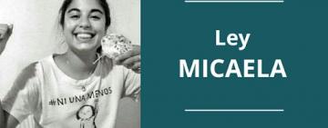 Ley Micaela: la provincia convoca a municipios, comunas y organizaciones a participar de la capacitación