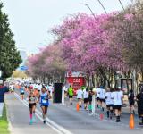 Una multitud corrió en Rosario y pintó la ciudad de celeste y blanco