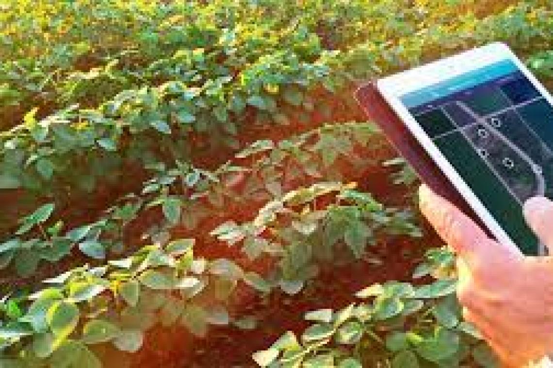 “SANTA FE es el corazón productivo del país y trabajamos para que sea el corazón productivo de la innovación”