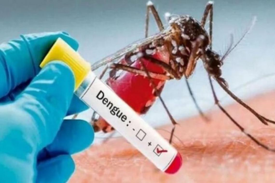 Con la llegada de la primavera el municipio recuerda medidas para prevenir el dengue