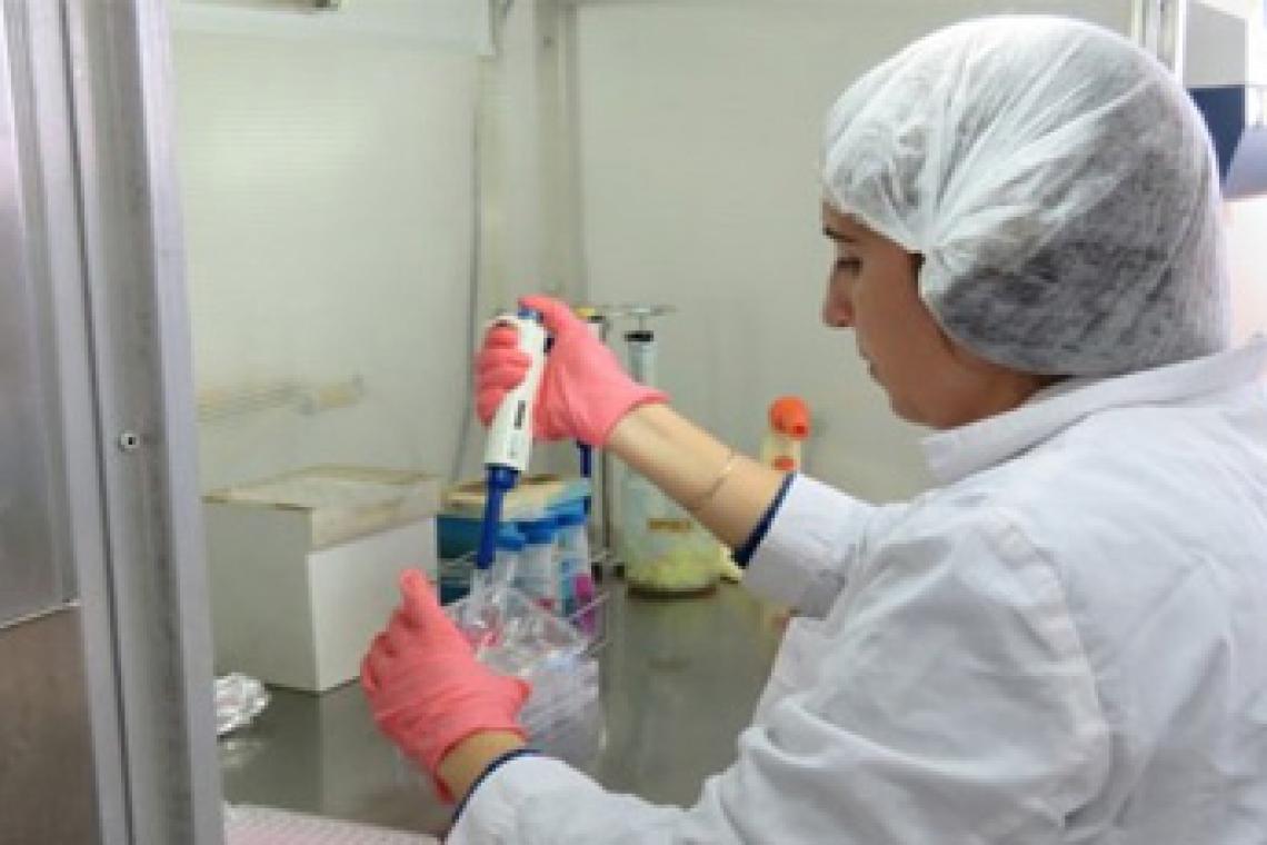 La provincia becará a científicas santafesinas para que se capaciten en el país y en el exterior