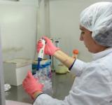La provincia becará a científicas santafesinas para que se capaciten en el país y en el exterior