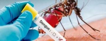 El municipio inició los operativos de prevención del dengue