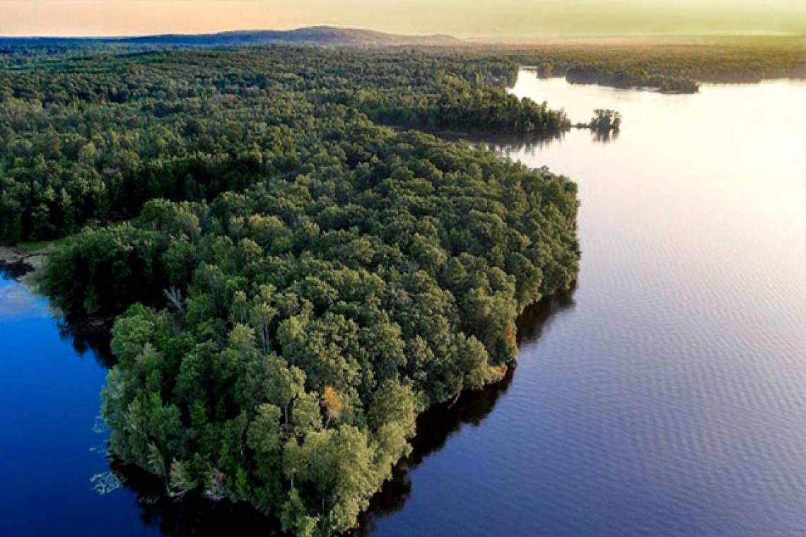 Brasil llega como villano ambiental y en busca de créditos para preservar la Amazonia