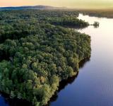 Brasil llega como villano ambiental y en busca de créditos para preservar la Amazonia