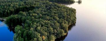 Brasil llega como villano ambiental y en busca de créditos para preservar la Amazonia