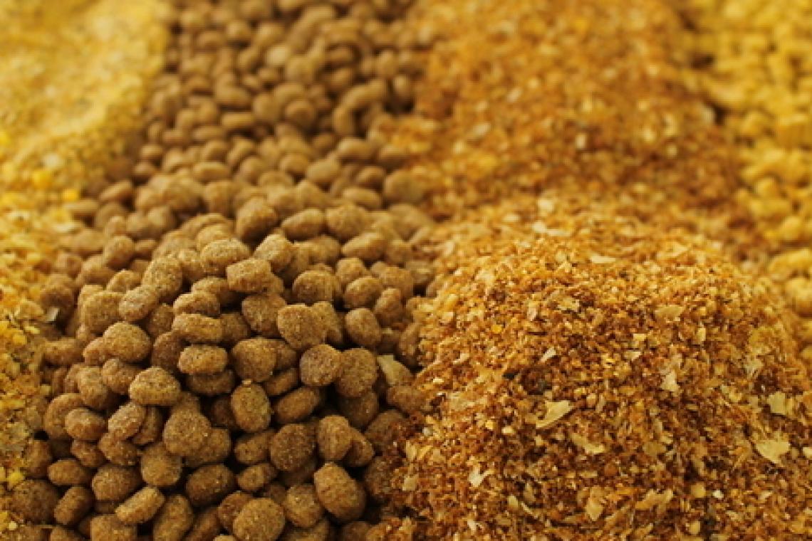 La provincia participó de la apertura de una ronda de negocios para el sector de nutrición animal y productos veterinarios
