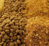 La provincia participó de la apertura de una ronda de negocios para el sector de nutrición animal y productos veterinarios