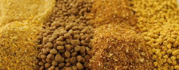 La provincia participó de la apertura de una ronda de negocios para el sector de nutrición animal y productos veterinarios
