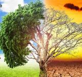 LA PROVINCIA CONVOCA A PRESENTAR PROYECTOS QUE PROMUEVAN PRODUCCIONES CLIMÁTICAMENTE INTELIGENTES