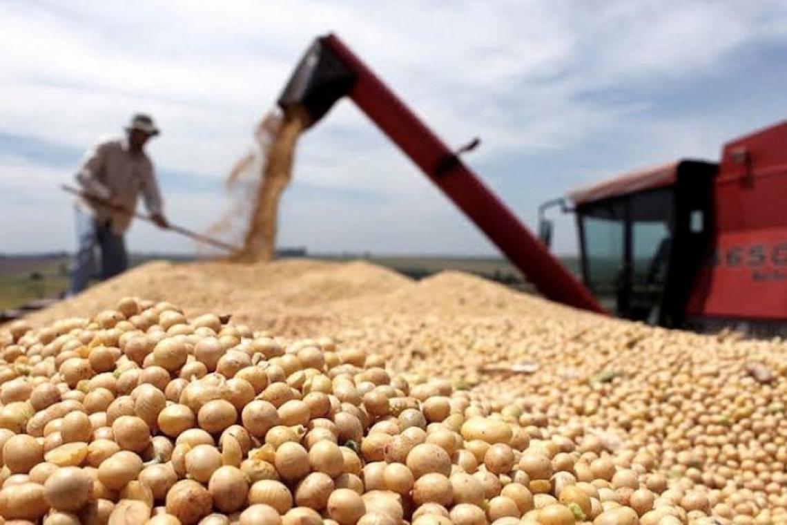 El fenómeno La Niña pone en riesgo la proyección de cosechas récords