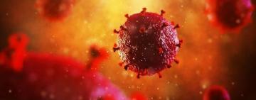 La variante beta de coronavirus generaría anticuerpos para delta y ómicron