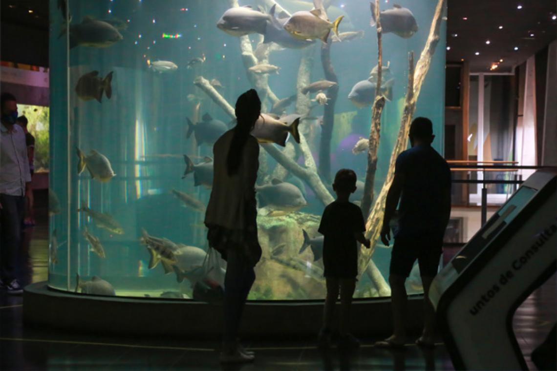 El Acuario del río Paraná tendrá un verano con apertura de martes a domingos con visitas libres y acompañadas