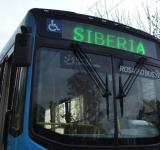 Desde este miércoles se suman 140 colectivos al transporte urbano