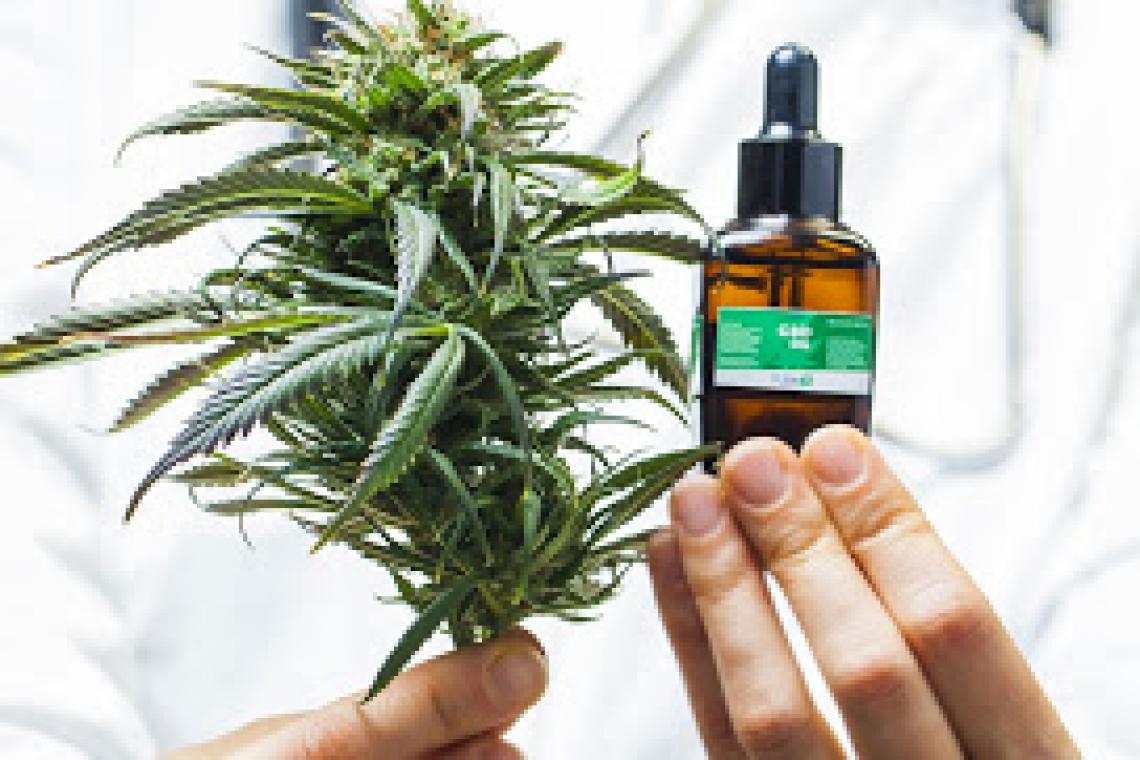 La provincia participó del lanzamiento de cannabica en Rosario