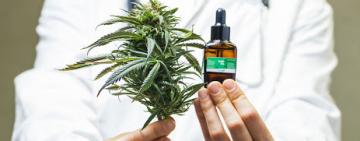 La provincia participó del lanzamiento de cannabica en Rosario