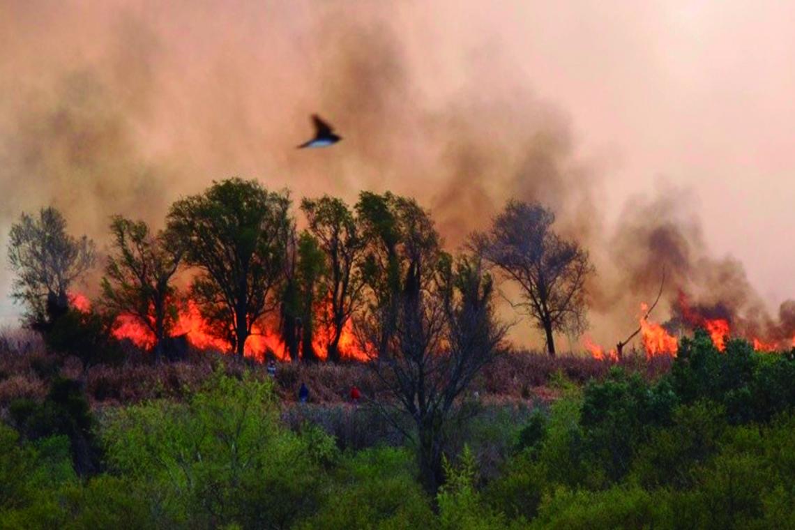 Cabandié criticó que la Justicia "no hace nada" contra los responsables de los incendios
