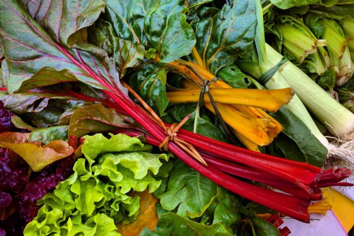 «Rosario cultiva agroecología»: el municipio celebra la Semana de la Agricultura Urbana