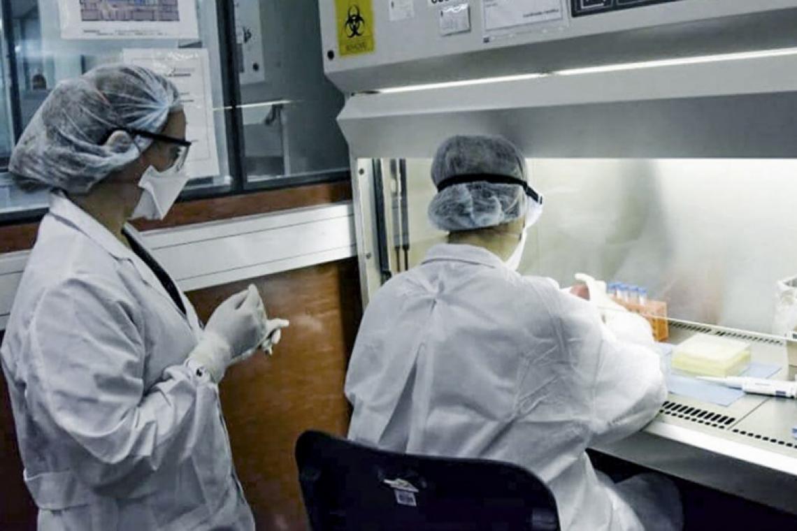 Realizaron un importante estudio sobre mortalidad por bacterias resistentes a medicamentos