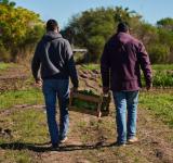 SE PRESENTARON 79 PROYECTOS PARA ACCEDER AL PROGRAMA MÓDULOS PRODUCTIVOS PARA LA AGRICULTURA FAMILIAR