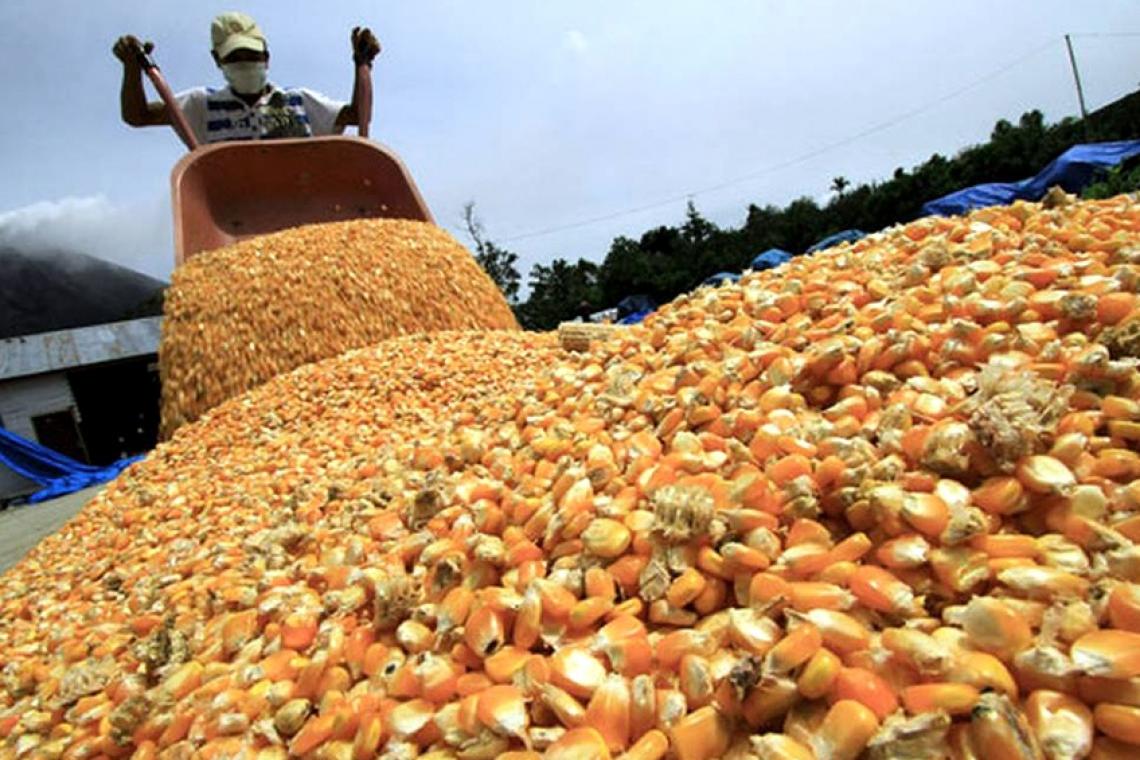 Otorgarán ayuda de hasta $20.000 por hectárea a pequeños productores de maíz y soja