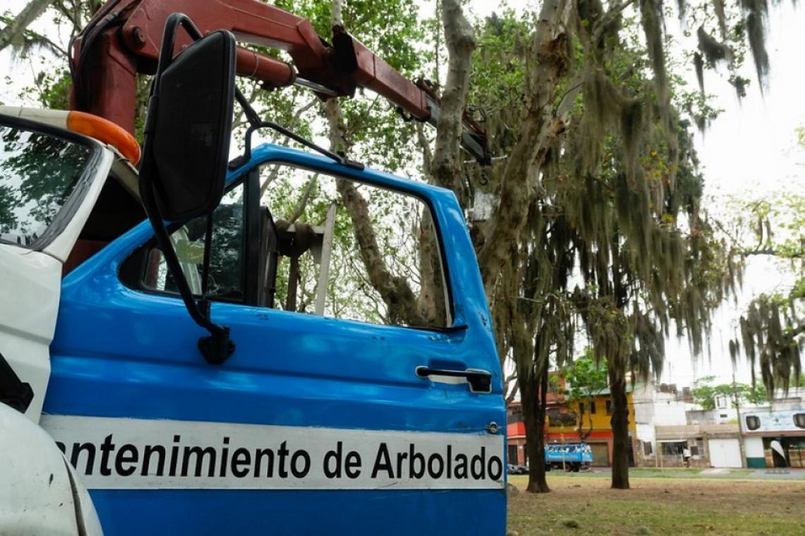 Se anuncian cortes y desvíos de tránsito por mantenimiento en el arbolado público