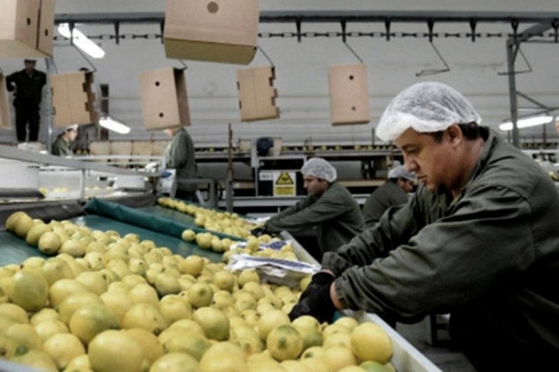 Los consumidores pagan cuatro veces más de lo que cobran los productores agropecuarios