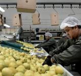 Los consumidores pagan cuatro veces más de lo que cobran los productores agropecuarios
