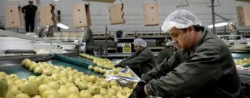 Los consumidores pagan cuatro veces más de lo que cobran los productores agropecuarios
