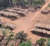 Brasil redujo un 61% la deforestación en la Amazonia en el primer mes de mandato de Lula