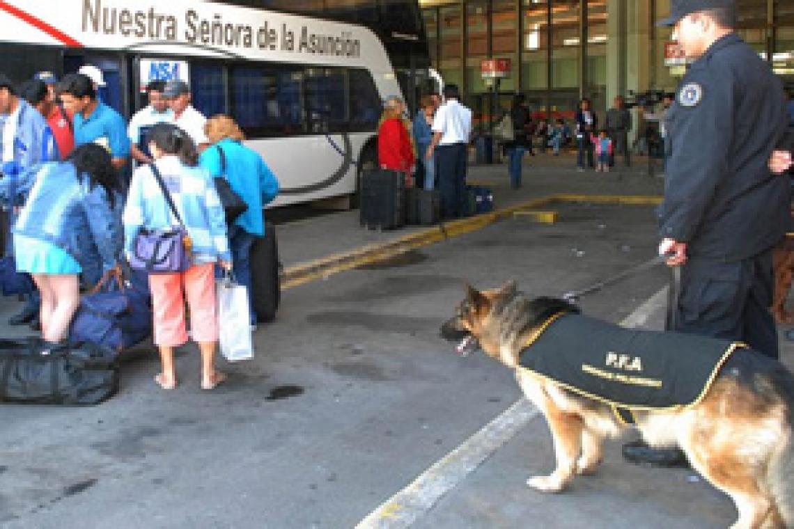  Proyecto para formar "caninos forenses" para detectar drogas, armas y dinero