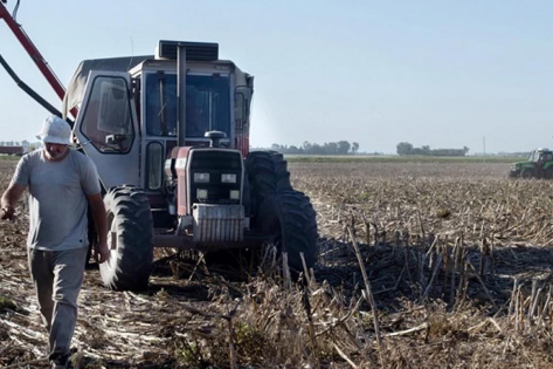 Productores vendieron más de 150.000 toneladas de soja y acumulan 1,12 millones