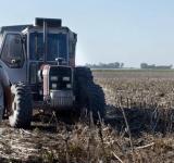 Productores vendieron más de 228.000 toneladas de soja y acumulan 2,6 millones