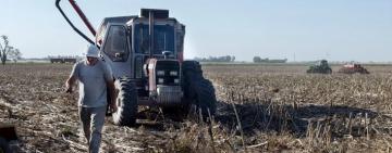 Productores vendieron más de 326.000 toneladas de soja y acumulan 3,5 millones