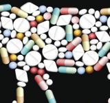 Resistencia antimicrobiana: alertan que la mayoría de los antibióticos se usan para engordar ganado