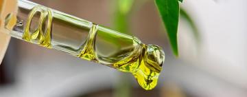 Hallan componente CBD del cannabis en planta común en Brasil