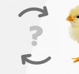 Científicos descifran el enigma sobre el huevo y la gallina