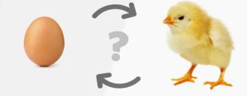 Científicos descifran el enigma sobre el huevo y la gallina