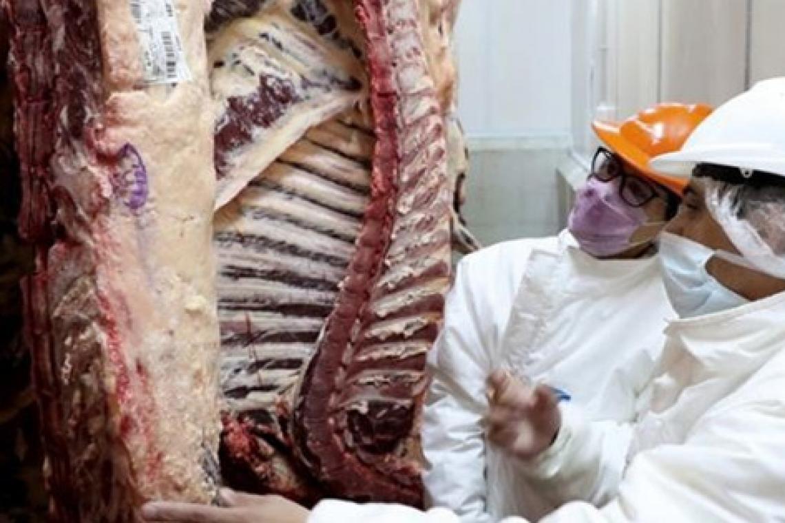 Estiman que el precio de la carne continuará por debajo de la inflación en los próximos tres meses