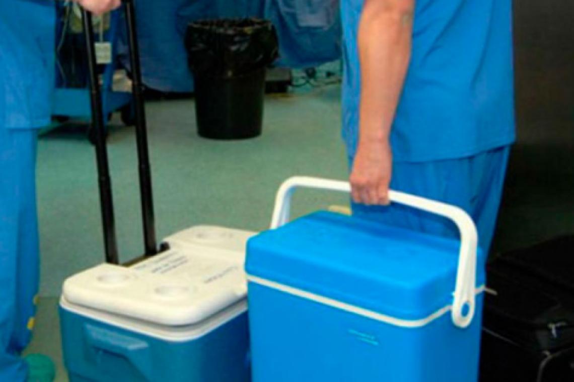 En el primer semestre de 2023, Santa Fe tuvo el mayor número de donantes en la historia