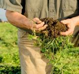 Agricultura regenerativa: una solución sostenible para aumentar la productividad y reducir costos