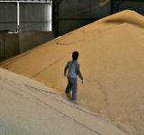 Por impacto de la sequía en producción de soja, la molienda atraviesa etapa más crítica en 15 años