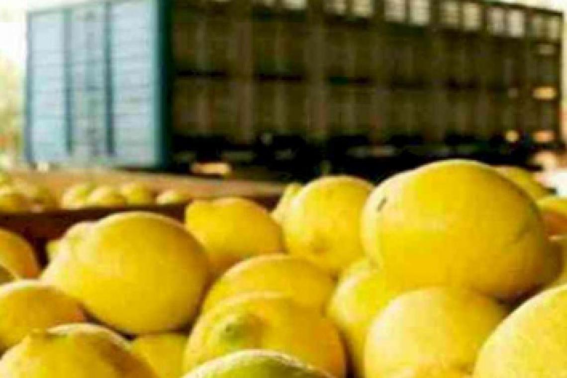 El Gobierno oficializa la eliminación de retenciones para economías regionales