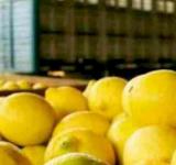 El Gobierno oficializa la eliminación de retenciones para economías regionales